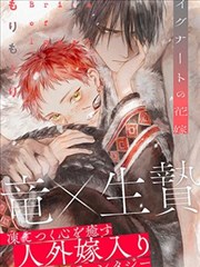 蜂蜜与四叶草